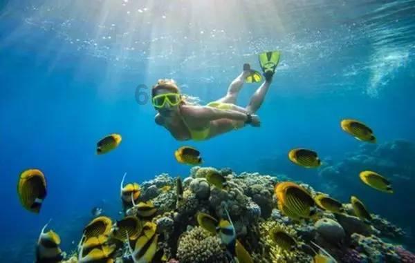 去年海南竞技体育多个项目实现突破